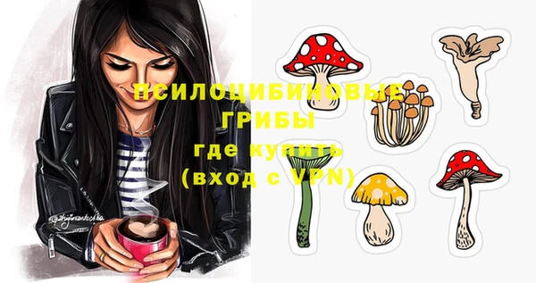 PSILOCYBIN Абдулино